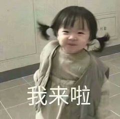  多多自走棋海豹海象还是海狮,海象拳王的真实身份是什么