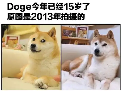  冷知识又找到鲁迅跟我的一个共同点,都看过米老鼠