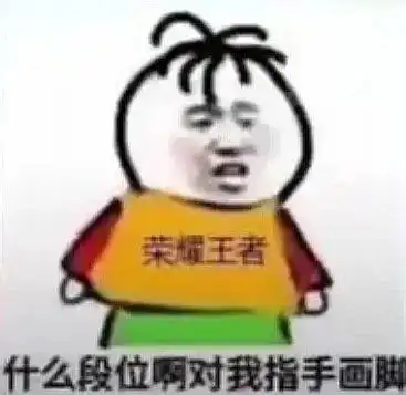  搞笑表情包你脑袋里装的都是屎吗