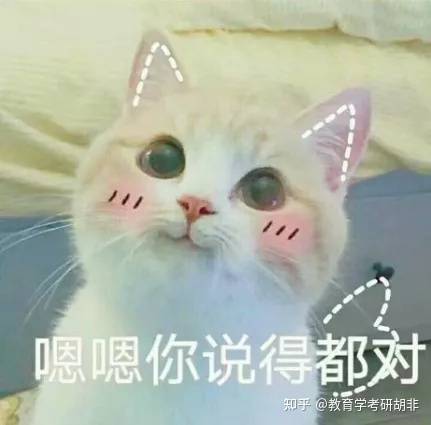  21沈阳师范大学学科英语435分考研经验大纲突然变革,稳住心态,努力终有收获