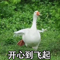  想要杀死枕头上的螨虫,你需要一个黑色塑料袋,效果倍儿棒