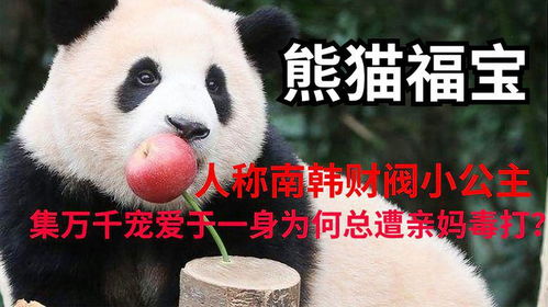  熊猫福宝人称财阀小公主,集万千宠爱于一身为何总遭亲妈毒打