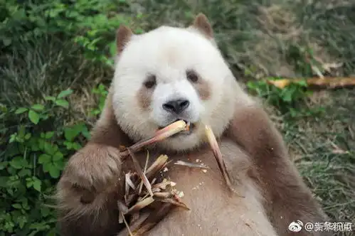 滴滴超速被查司机正睡觉无驾驶资格的乘客在开车
