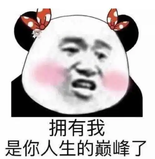 表情包分类上岸