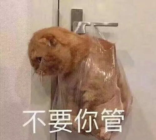  沙雕斗图表情包i你以为这样很好玩吗嗯