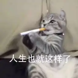 一周彩虹屁丨网上冲浪技巧与经验