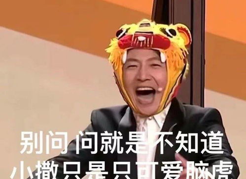  撒贝宁春晚一嘴瓢,钱都扣完了他这样回应