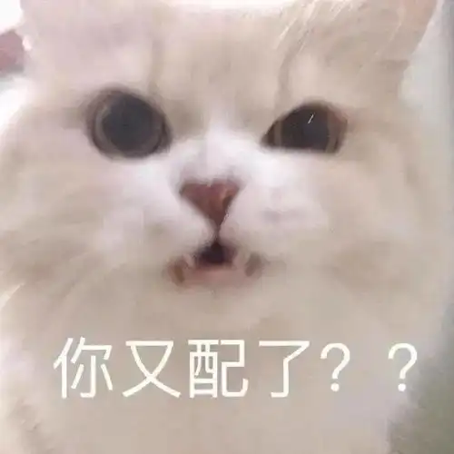  沙雕表情包