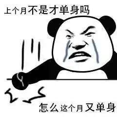  表情包上个月不是才单身吗