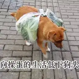  聊天怎能少了这些表情包呢