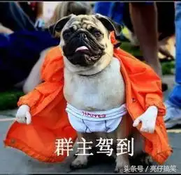  大学生们最喜欢的个性签名,笑死人
