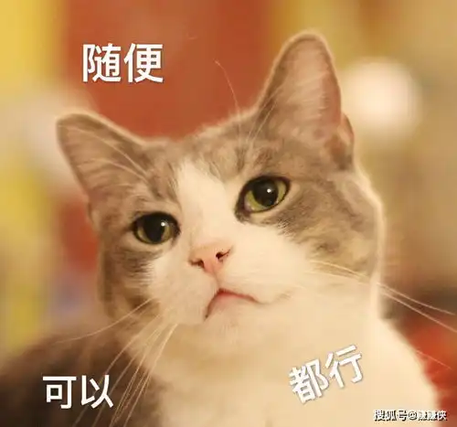 哪里跑的表情包表情