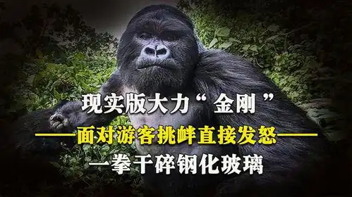  一拳锤爆钢化玻璃,手掌是成年人的5倍,银背大猩猩实力有多强
