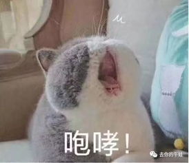  为了考试,这一届老母亲操碎了心