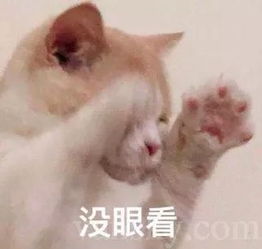  没眼看温村也玩起了卖肉租房