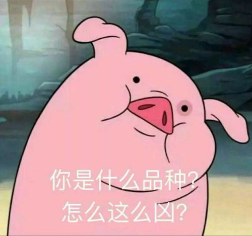  求一张快手养猪的图
