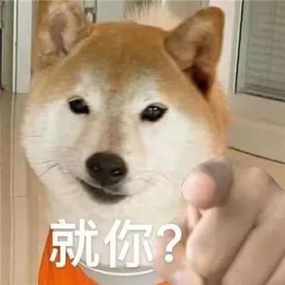  表情包狗狗爆笑的聊天表情合集