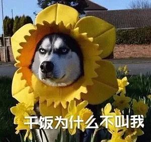  可爱沙雕表情包精神小伙,不请自来