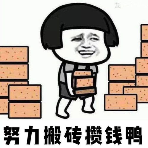  过年回家买什么包,显得老娘过得很好