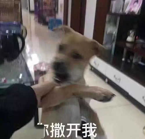  千奇百怪的方式这么多你是怎样开瓶的