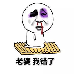  表情包老婆大人,我知道错了