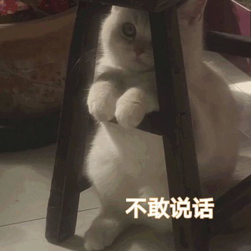  分享小事