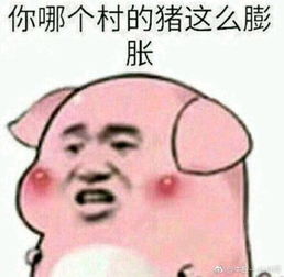 你消失了吗表情包楼楼
