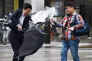  7级大风已上线,气温过山车还有一波出行消息,哈尔滨人挺住