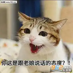  有本事恁死我啊喵咪表情包旺仔牌手电筒照亮你的丑表情包下载乐游网游戏下载
