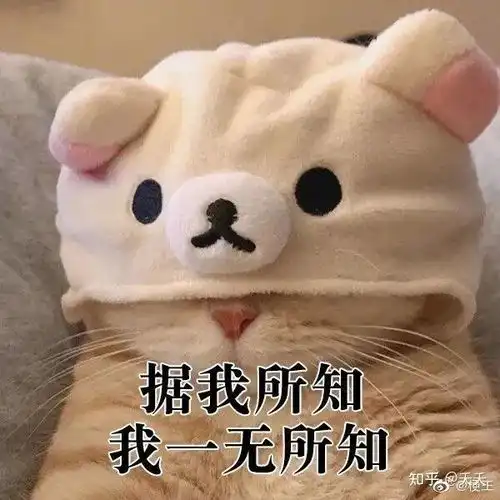  废话文学,我该拿你怎么办