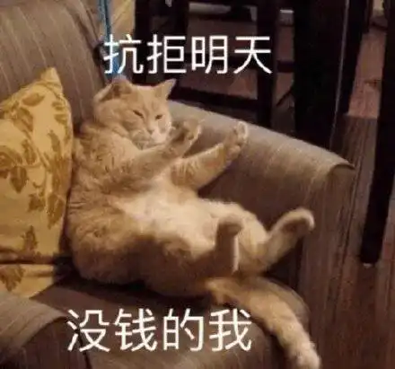 在线表情包沙雕熊正