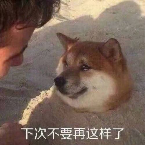  央视注音的这把剑,寿县也有