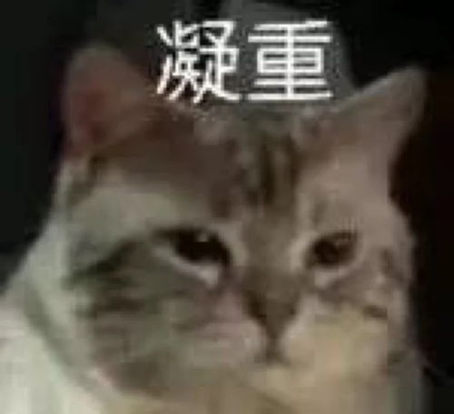  沙雕表情包那也只好这样了