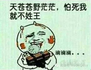  隔壁家的老王天苍苍野茫茫,怕死我就不姓王