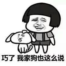  你显然不是我的对手装逼表情包下载乐游网游戏下载