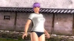  deadoralive5第3波服装全套组
