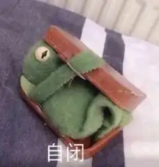 一个人孤独呀表情包