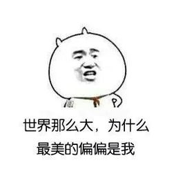  微信红包能撤回,还能发微信绿包了