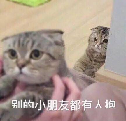  猫会吃醋嫉妒吗