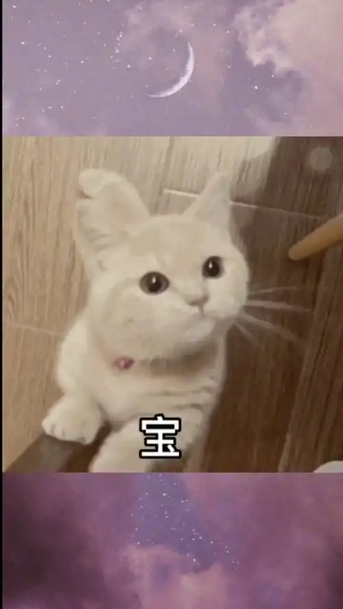  百万网友赐神评甜甜的恋爱表情包小可爱已上线