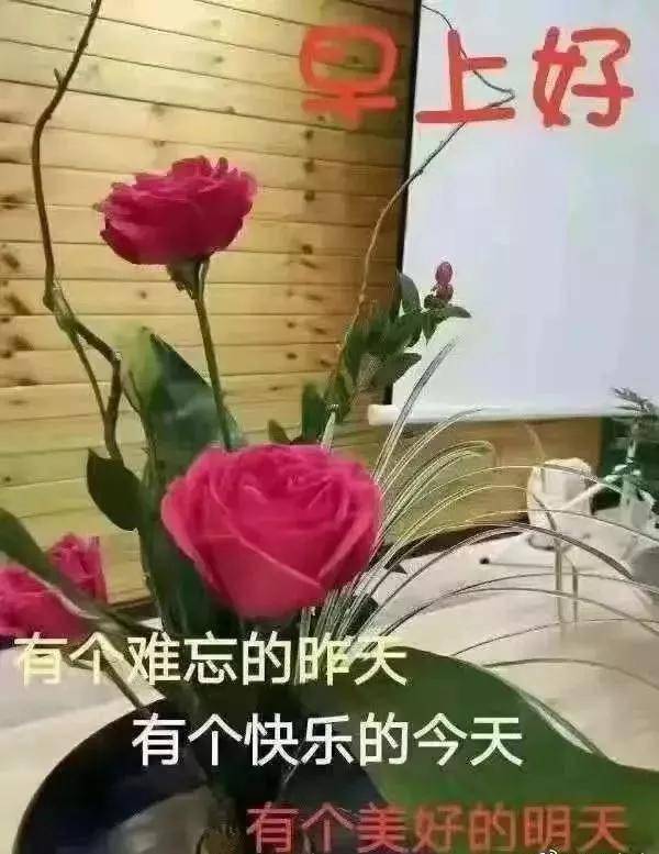  变老是人生必修课,而变成熟,却是人生的选修课,早安