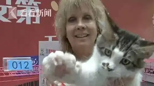  视频选美不如睡觉猫主子齐聚展会表情高冷就不让你撸