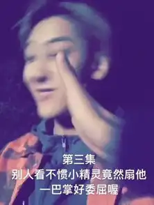 被黑哭的黄子韬转身成了表情包,大家都坐等他的小精灵故事,笑哭