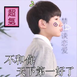 动态搞笑表情包带字图王