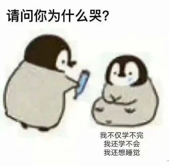 一看就是在好好学习的头像,虎年换起来 一看就是在好好学习的头像,虎年换起来