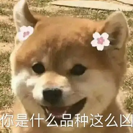  祝你中秋节牛逼熊猫头表情包牛逼熊猫中秋节表情