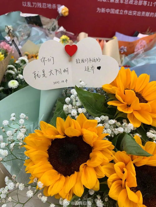  延乔路,又被鲜花包围了山西新闻网