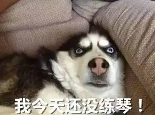  学音乐的人就是不一样,表情包都这么有特色,斗图必备,赶紧收藏