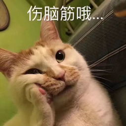  刘亦菲居然也没经住外媒镜头的考验,这回百万修图师都救不回来了...