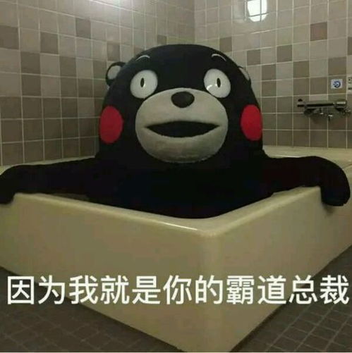  熊本熊表情包羊驼驼的熊本熊因为我是你堆糖,美好生活研究所
